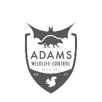 Adams Wildlife Control image 1